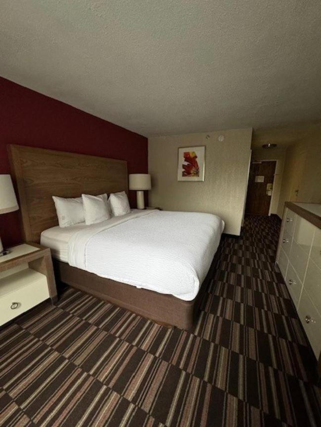 Ramada Plaza By Wyndham Charlotte South End Airport Hotel Exterior foto